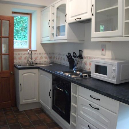 Bryn Cottage Llandderfel Екстер'єр фото