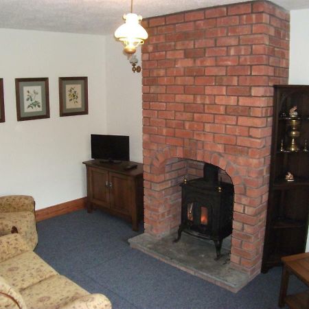 Bryn Cottage Llandderfel Екстер'єр фото