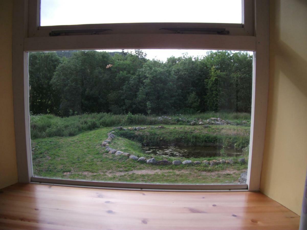 Bryn Cottage Llandderfel Екстер'єр фото